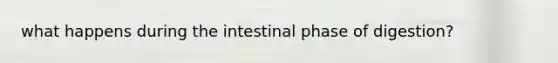 what happens during the intestinal phase of digestion?