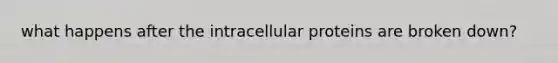 what happens after the intracellular proteins are broken down?