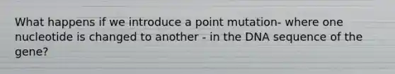 What happens if we introduce a point mutation- where one nucleotide is changed to another - in the DNA sequence of the gene?