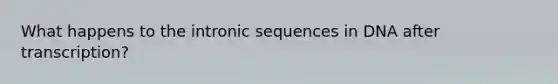 What happens to the intronic sequences in DNA after transcription?