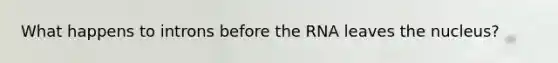 What happens to introns before the RNA leaves the nucleus?