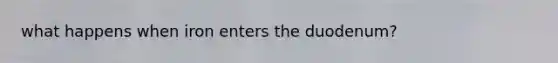 what happens when iron enters the duodenum?