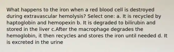 What happens to the iron when a red blood cell is destroyed during extravascular hemolysis? Select one: a. It is recycled by haptoglobin and hemopexin b. It is degraded to bilirubin and stored in the liver c.After the macrophage degrades the hemoglobin, it then recycles and stores the iron until needed d. It is excreted in the urine