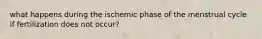 what happens during the ischemic phase of the menstrual cycle if fertilization does not occur?