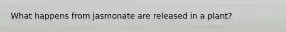 What happens from jasmonate are released in a plant?