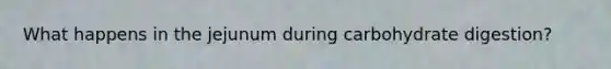 What happens in the jejunum during carbohydrate digestion?
