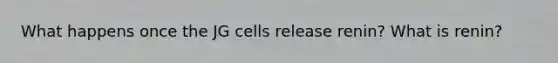 What happens once the JG cells release renin? What is renin?