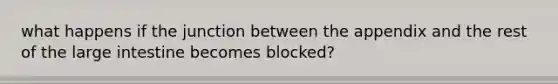 what happens if the junction between the appendix and the rest of the large intestine becomes blocked?