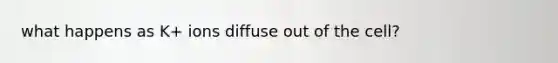 what happens as K+ ions diffuse out of the cell?