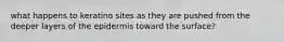 what happens to keratino sites as they are pushed from the deeper layers of the epidermis toward the surface?