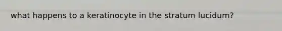 what happens to a keratinocyte in the stratum lucidum?