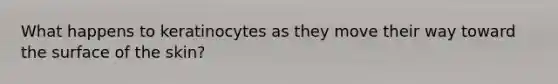 What happens to keratinocytes as they move their way toward the surface of the skin?