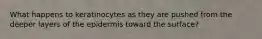 What happens to keratinocytes as they are pushed from the deeper layers of the epidermis toward the surface?