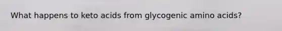 What happens to keto acids from glycogenic amino acids?