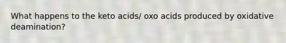 What happens to the keto acids/ oxo acids produced by oxidative deamination?