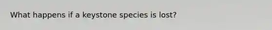 What happens if a keystone species is lost?