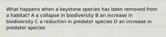 What happens when a keystone species has been removed from a habitat? A a collapse in biodiversity B an increase in biodiversity C a reduction in predator species D an increase in predator species