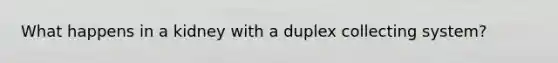 What happens in a kidney with a duplex collecting system?