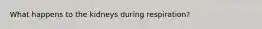 What happens to the kidneys during respiration?