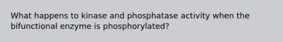 What happens to kinase and phosphatase activity when the bifunctional enzyme is phosphorylated?