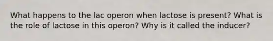 What happens to the lac operon when lactose is present? What is the role of lactose in this operon? Why is it called the inducer?