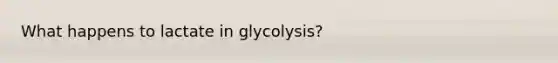 What happens to lactate in glycolysis?