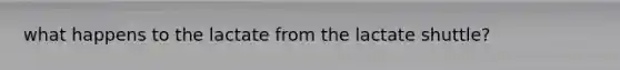 what happens to the lactate from the lactate shuttle?