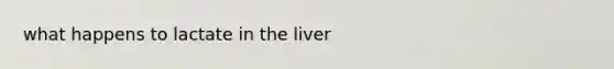 what happens to lactate in the liver