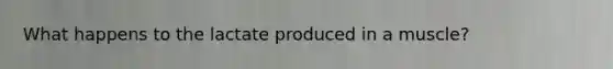 What happens to the lactate produced in a muscle?