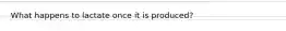 What happens to lactate once it is produced?