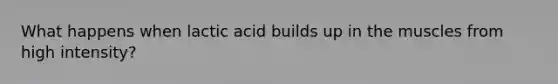 What happens when lactic acid builds up in the muscles from high intensity?