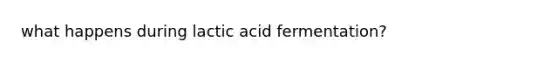 what happens during lactic acid fermentation?