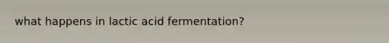 what happens in lactic acid fermentation?