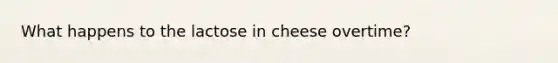 What happens to the lactose in cheese overtime?