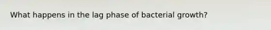 What happens in the lag phase of bacterial growth?