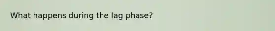 What happens during the lag phase?