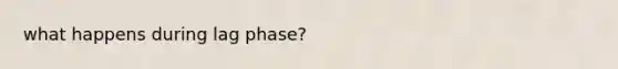 what happens during lag phase?