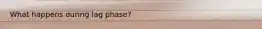 What happens during lag phase?