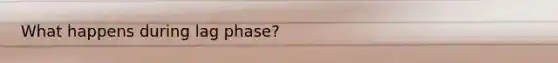 What happens during lag phase?