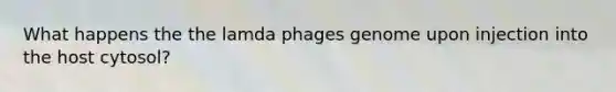 What happens the the lamda phages genome upon injection into the host cytosol?