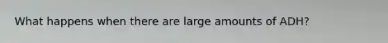 What happens when there are large amounts of ADH?