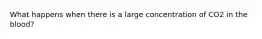 What happens when there is a large concentration of CO2 in the blood?