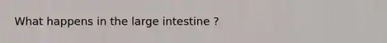 What happens in the large intestine ?