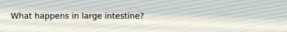 What happens in large intestine?