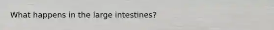 What happens in the <a href='https://www.questionai.com/knowledge/kGQjby07OK-large-intestine' class='anchor-knowledge'>large intestine</a>s?