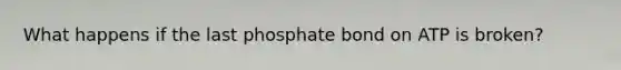 What happens if the last phosphate bond on ATP is broken?