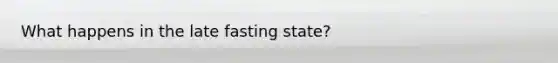 What happens in the late fasting state?