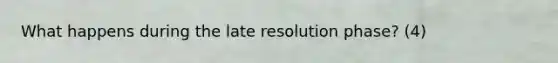 What happens during the late resolution phase? (4)