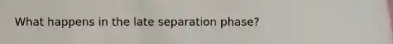 What happens in the late separation phase?