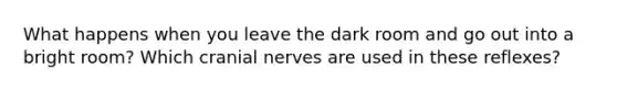 What happens when you leave the dark room and go out into a bright room? Which cranial nerves are used in these reflexes?